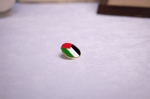 Circular Palestine Flag Lapel Pin — studio photograph