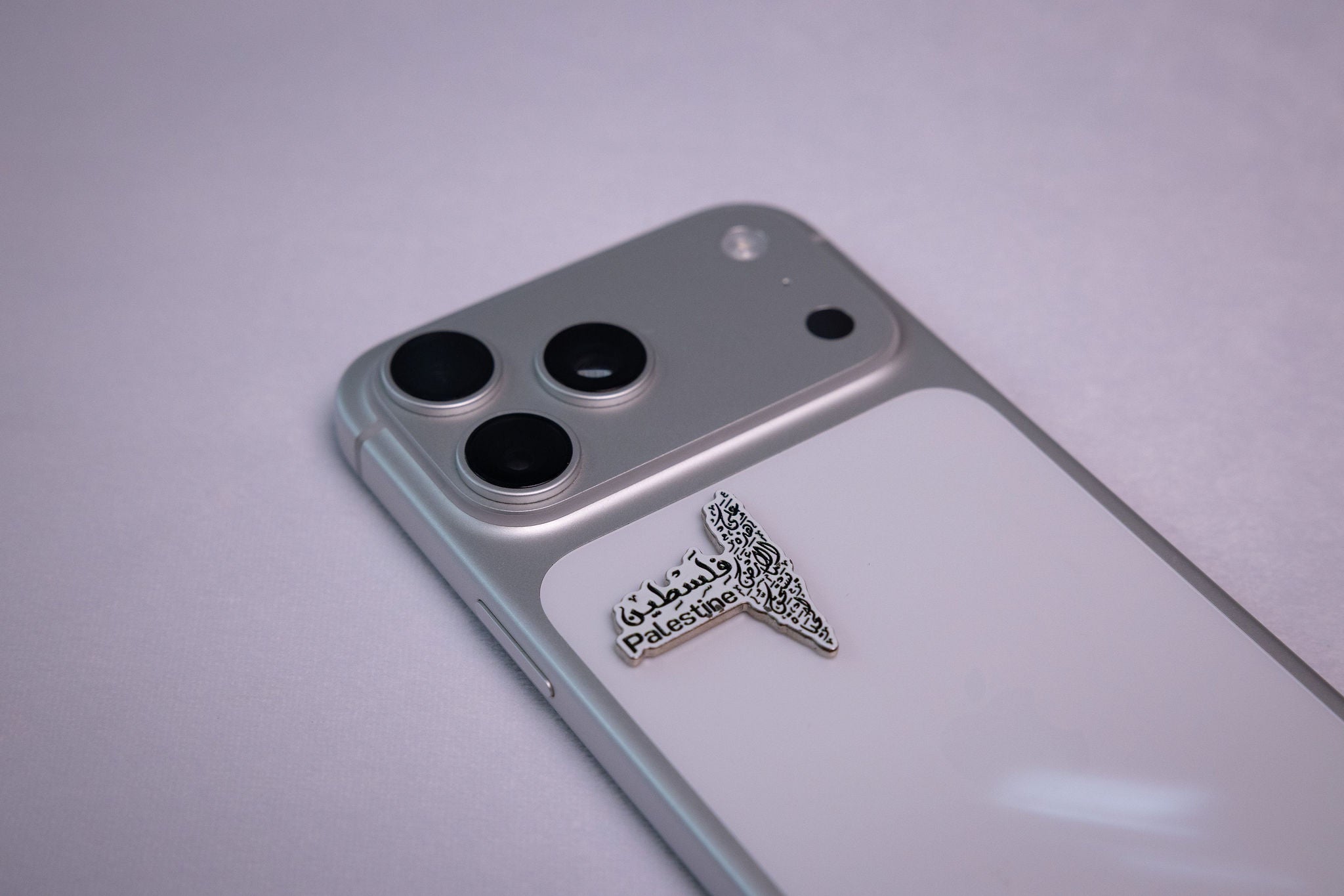 Palestine Map Calligraphy Sticker (Arabic & English)